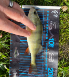 photo prise 51684 par Seb02300