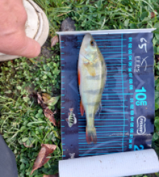 photo prise 51685 par Guizinzin 