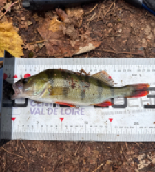 photo prise 51686 par 