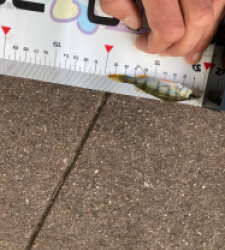 photo prise 51687 par Saussaye TIMEO