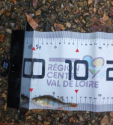 photo prise 51688 par GuiZ viens on pêche