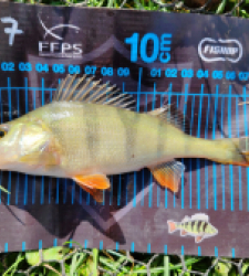 photo prise 51689 par 