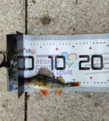 photo prise 51690 par AaronPike