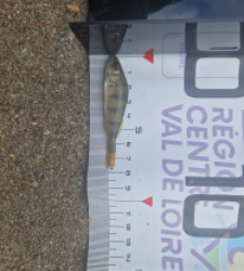 photo prise 51691 par LOUANN06