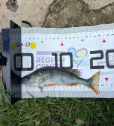 photo prise 51693 par REMES