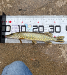 photo prise 51694 par 