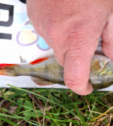 photo prise 51695 par moine