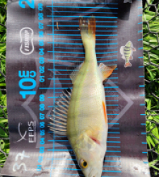 photo prise 51697 par 