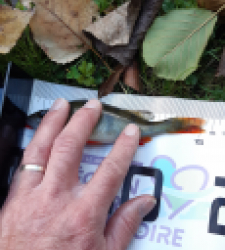 photo prise 51698 par girard-benoit