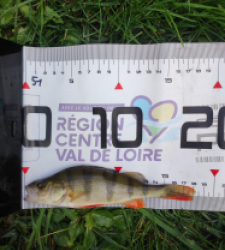 photo prise 51699 par GuiZ viens on pêche