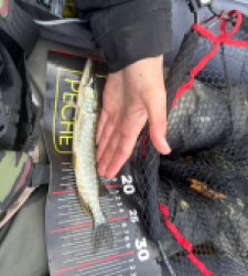 photo prise 51700 par 