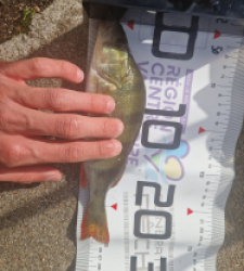 photo prise 51702 par LOUANN06