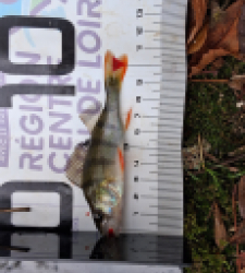 photo prise 51703 par Julien41