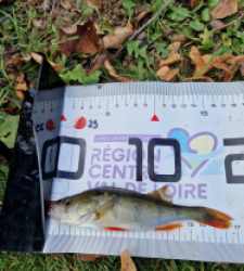 photo prise 51704 par pinponmusiat