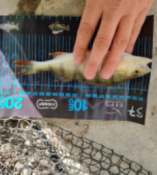 photo prise 51705 par 