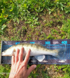 photo prise 51707 par Hardcore