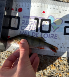 photo prise 51708 par 