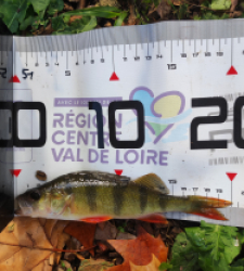 photo prise 51709 par GuiZ viens on pêche