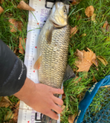 photo prise 51711 par Saussaye TIMEO