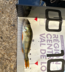 photo prise 51712 par Morgan 