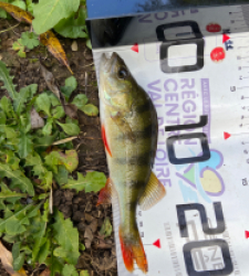 photo prise 51713 par Anthony D