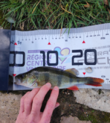 photo prise 51714 par GuiZ viens on pêche