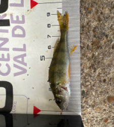 photo prise 51715 par Morgan 