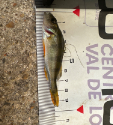 photo prise 51716 par Morgan 