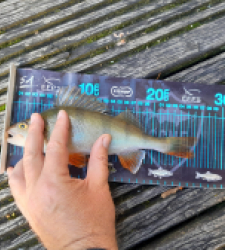 photo prise 51717 par JEAN RENE DENNETIERE