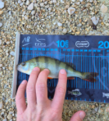 photo prise 51718 par 