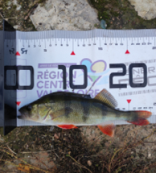 photo prise 51719 par GuiZ viens on pêche