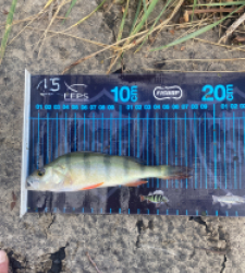 photo prise 51720 par Desosseur59