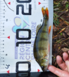 photo prise 51721 par gouin.fabrice