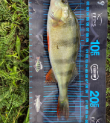 photo prise 51722 par Seb02300