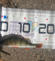 photo prise 51723 par Morgan