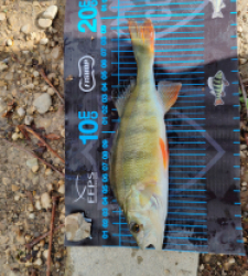 photo prise 51725 par 