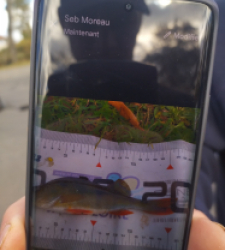 photo prise 51726 par fandepeche41