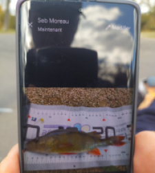 photo prise 51727 par fandepeche41