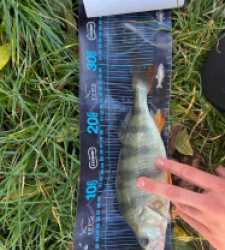 photo prise 51728 par ANTOINE DUBUC