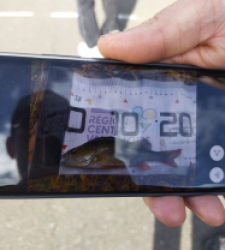 photo prise 51730 par fandepeche41