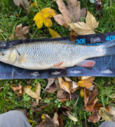 photo prise 51731 par Joris Pougin