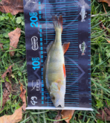 photo prise 51732 par Bara Benjamin