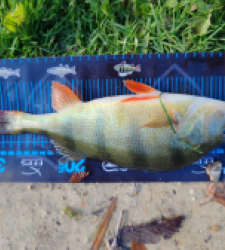 photo prise 51733 par 