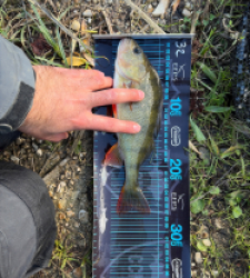 photo prise 51734 par Thomas Gallois