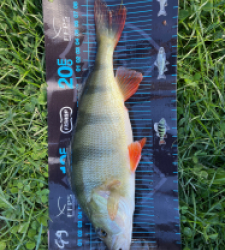 photo prise 51735 par Bara Benjamin