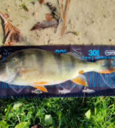 photo prise 51736 par 