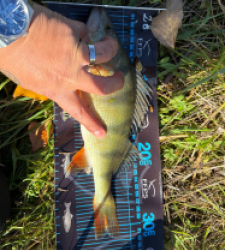 photo prise 51737 par Crazy Fish