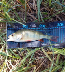 photo prise 51740 par Gael Gauthier