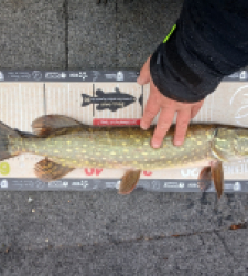 photo prise 51741 par Spinner