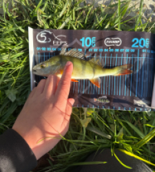 photo prise 51742 par 